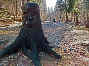 Monte Gugliemo dal sentiero nel Bosco degli Gnomi il 16 marzo 2013  - FOTOGALLERY